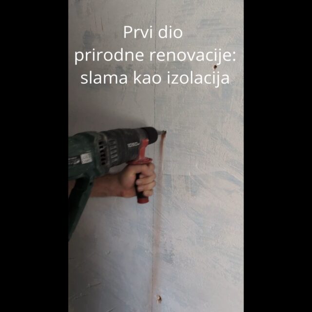 Kao što smo obećali, prvi dio prirodne renovacije je ovdje- slamu koristimo kao izolaciju. 
Zid je cigleni s vapnenom žbukom, a pošto nismo znali o kakvoj je boji riječ (bitno je da zid diše) ostrugali smo boju i stavili vapneno mlijeko da dezinficiramo zid. 
Iz prakse se najbolje uči pa smo odlučili znanja upotrijebiti na vlastitoj koži i zidu. 🤪
Koristili smo svoju slamu i zemlju, kupili štafle, tiple i šarafe, a vapno i daščice smo imali od prijašnjih projekata. Tak da nam je trošak bio jako mali.
Sljedeći je na redu blatni špric pa žbukanje nakon što se izolacija prosuši. 
Ima više načina, odabrali smo ovaj. 😊 Kak bi vi to napravili? 

#prirodnagradnja #prirodnarenovacija #slama #izolacija